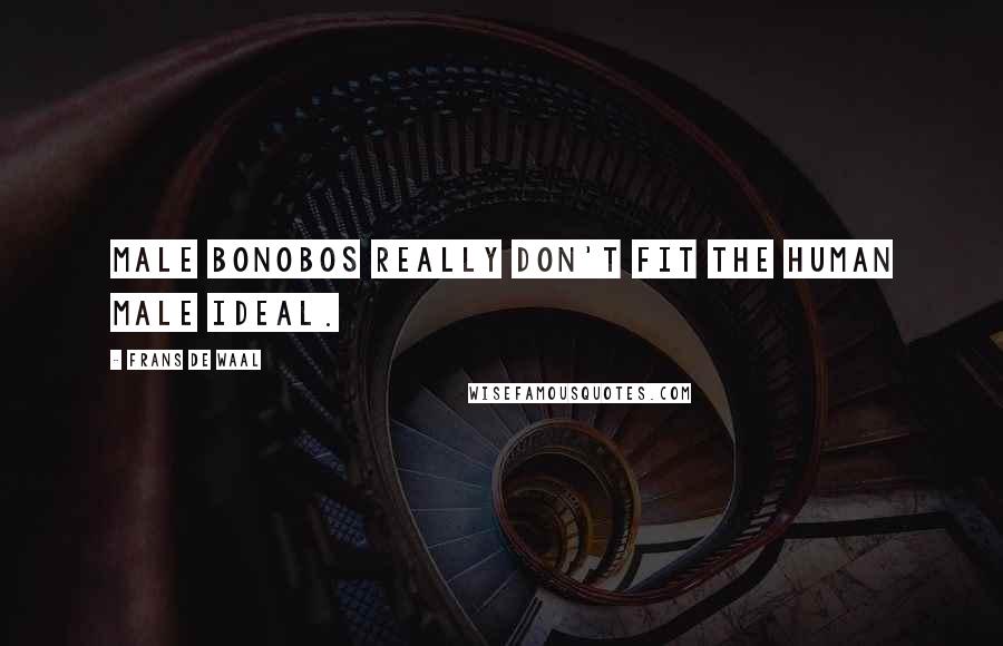 Frans De Waal Quotes: Male bonobos really don't fit the human male ideal.
