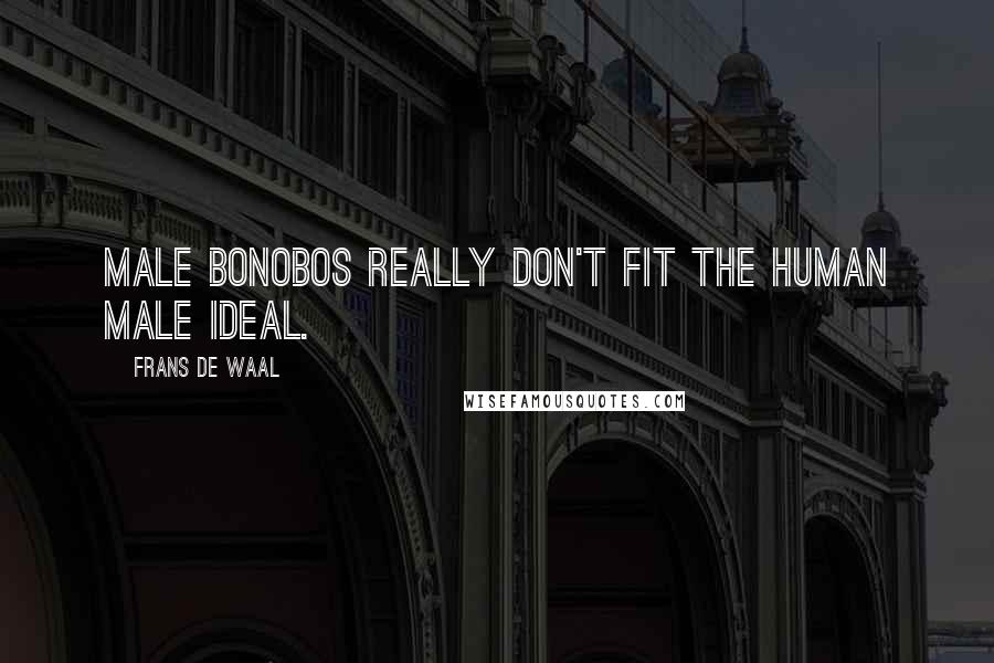 Frans De Waal Quotes: Male bonobos really don't fit the human male ideal.