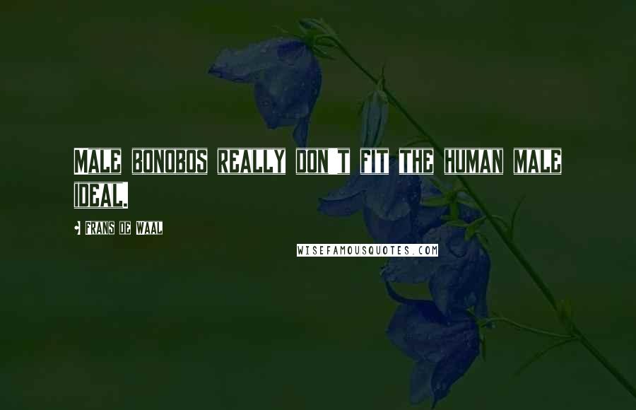 Frans De Waal Quotes: Male bonobos really don't fit the human male ideal.