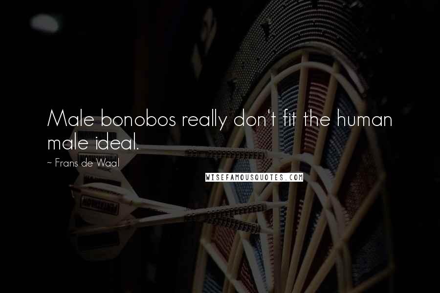 Frans De Waal Quotes: Male bonobos really don't fit the human male ideal.