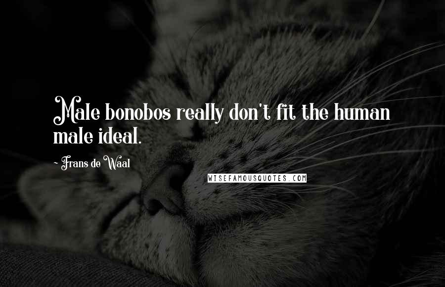 Frans De Waal Quotes: Male bonobos really don't fit the human male ideal.