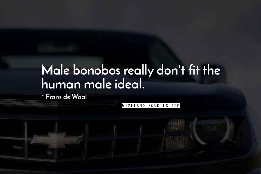 Frans De Waal Quotes: Male bonobos really don't fit the human male ideal.