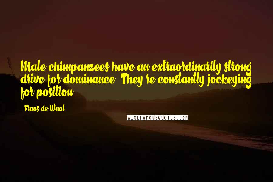 Frans De Waal Quotes: Male chimpanzees have an extraordinarily strong drive for dominance. They're constantly jockeying for position.