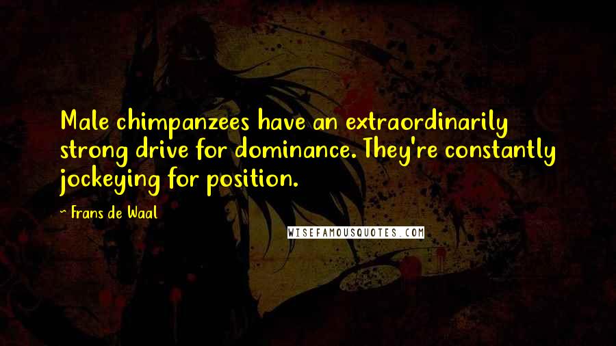 Frans De Waal Quotes: Male chimpanzees have an extraordinarily strong drive for dominance. They're constantly jockeying for position.