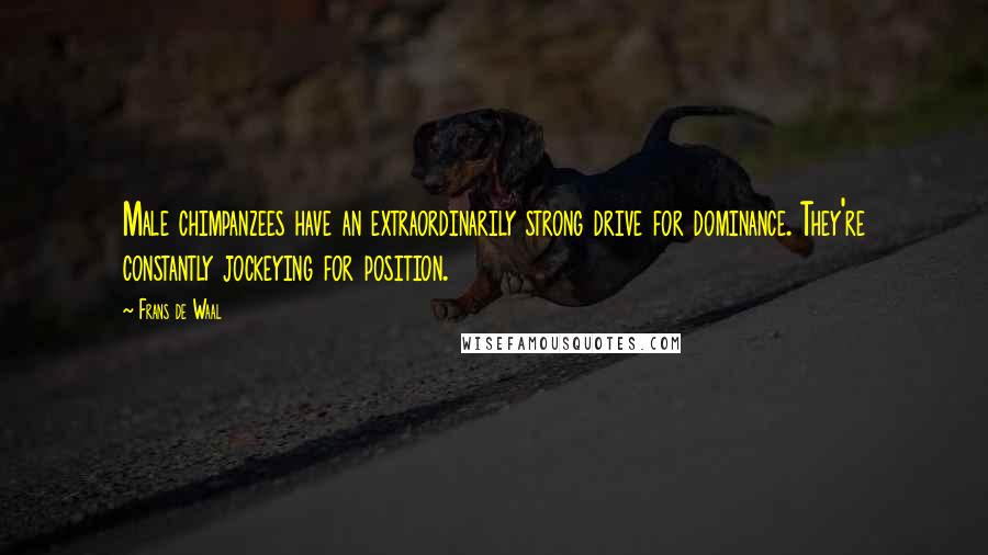 Frans De Waal Quotes: Male chimpanzees have an extraordinarily strong drive for dominance. They're constantly jockeying for position.