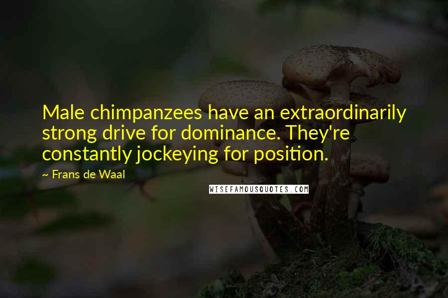 Frans De Waal Quotes: Male chimpanzees have an extraordinarily strong drive for dominance. They're constantly jockeying for position.