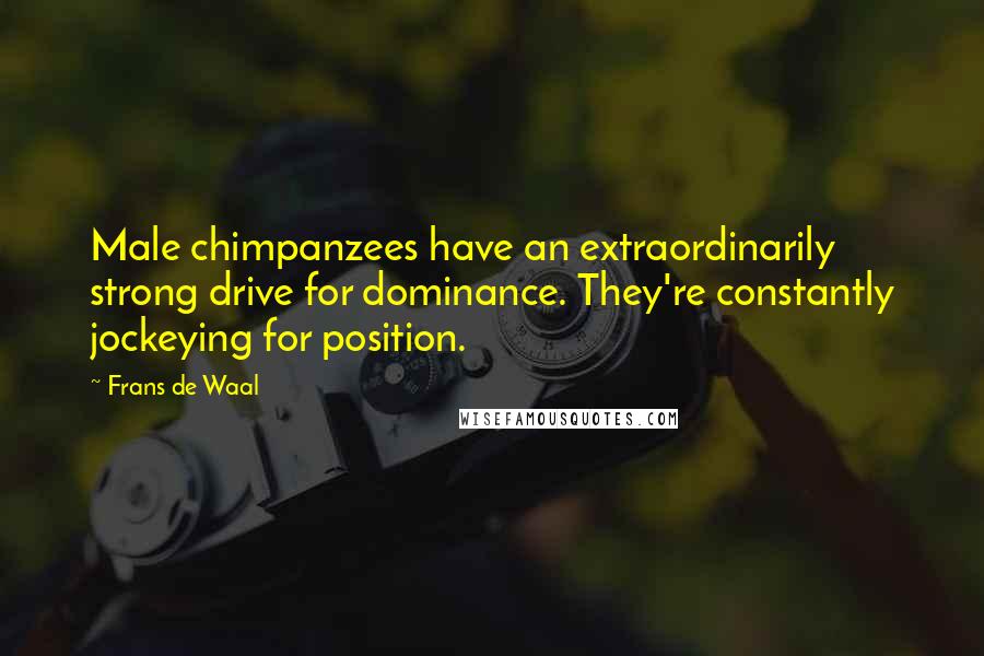 Frans De Waal Quotes: Male chimpanzees have an extraordinarily strong drive for dominance. They're constantly jockeying for position.