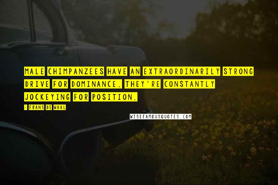 Frans De Waal Quotes: Male chimpanzees have an extraordinarily strong drive for dominance. They're constantly jockeying for position.