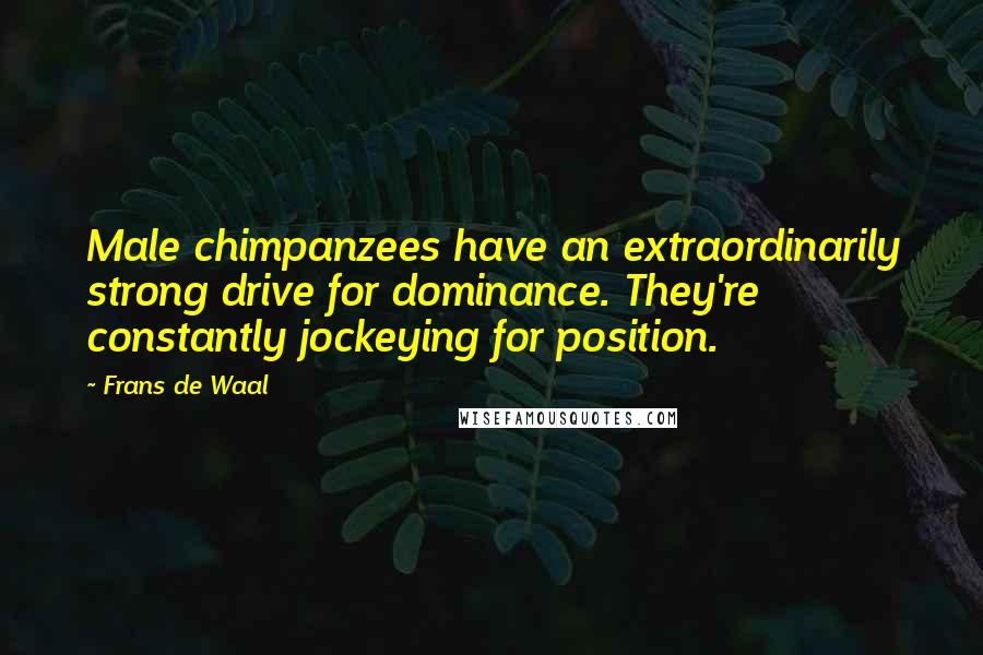 Frans De Waal Quotes: Male chimpanzees have an extraordinarily strong drive for dominance. They're constantly jockeying for position.