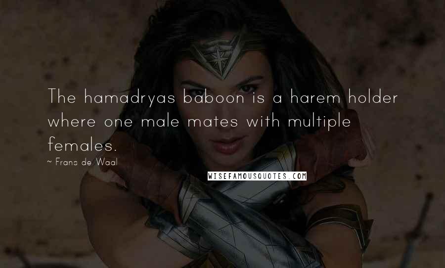 Frans De Waal Quotes: The hamadryas baboon is a harem holder where one male mates with multiple females.