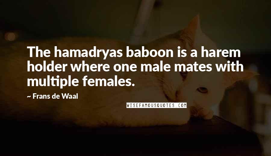 Frans De Waal Quotes: The hamadryas baboon is a harem holder where one male mates with multiple females.