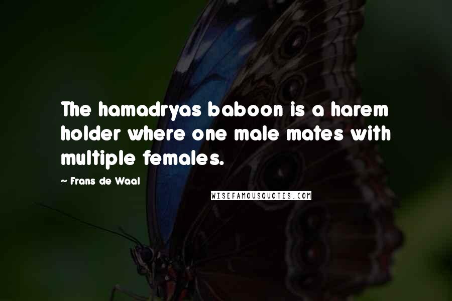 Frans De Waal Quotes: The hamadryas baboon is a harem holder where one male mates with multiple females.