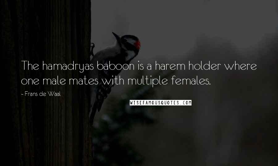 Frans De Waal Quotes: The hamadryas baboon is a harem holder where one male mates with multiple females.