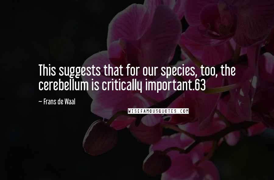 Frans De Waal Quotes: This suggests that for our species, too, the cerebellum is critically important.63