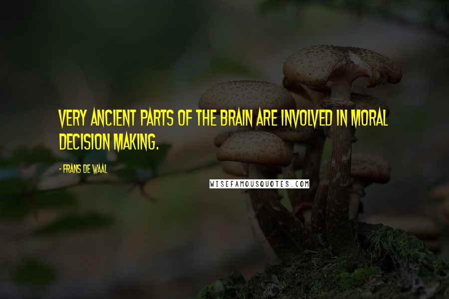 Frans De Waal Quotes: Very ancient parts of the brain are involved in moral decision making.