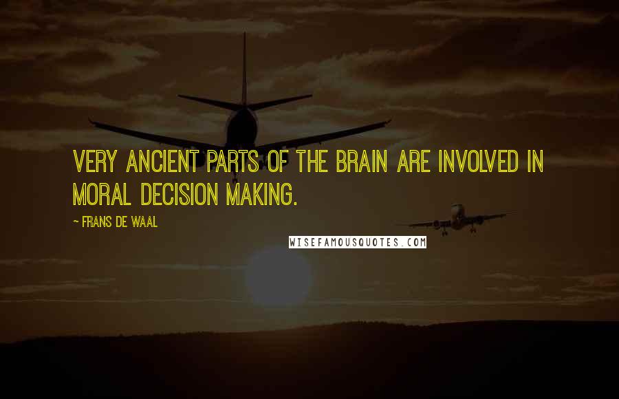 Frans De Waal Quotes: Very ancient parts of the brain are involved in moral decision making.