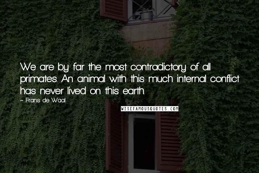Frans De Waal Quotes: We are by far the most contradictory of all primates. An animal with this much internal conflict has never lived on this earth.
