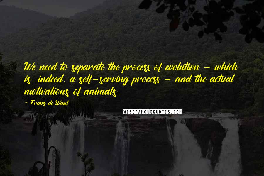 Frans De Waal Quotes: We need to separate the process of evolution - which is, indeed, a self-serving process - and the actual motivations of animals.