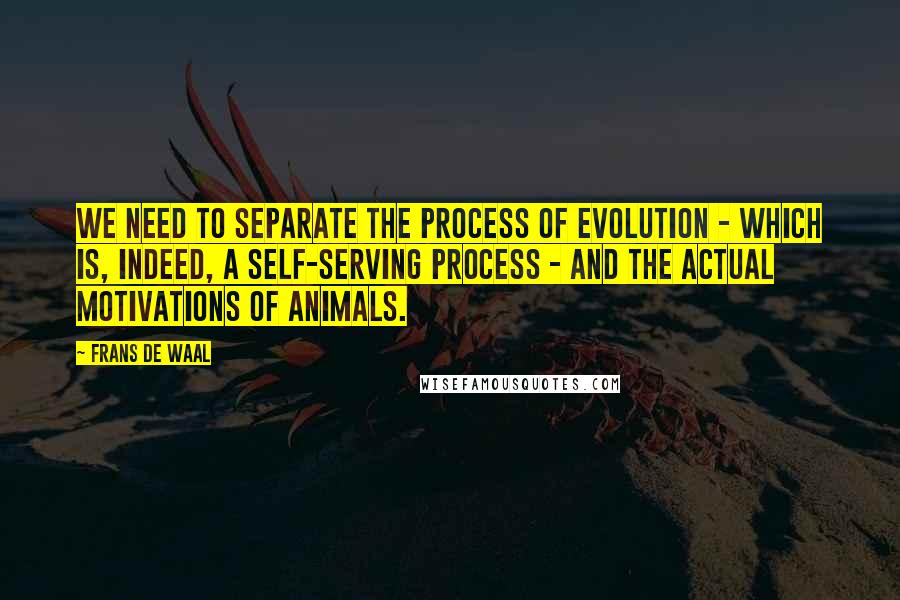 Frans De Waal Quotes: We need to separate the process of evolution - which is, indeed, a self-serving process - and the actual motivations of animals.