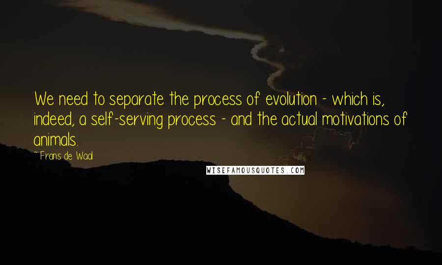 Frans De Waal Quotes: We need to separate the process of evolution - which is, indeed, a self-serving process - and the actual motivations of animals.