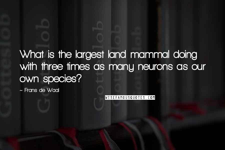 Frans De Waal Quotes: What is the largest land mammal doing with three times as many neurons as our own species?
