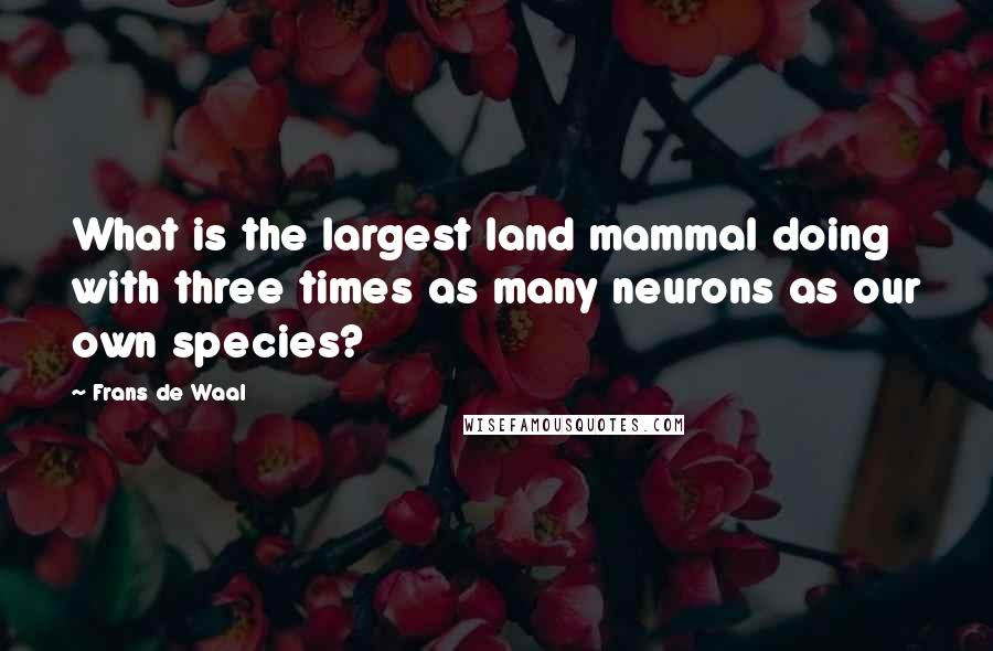 Frans De Waal Quotes: What is the largest land mammal doing with three times as many neurons as our own species?