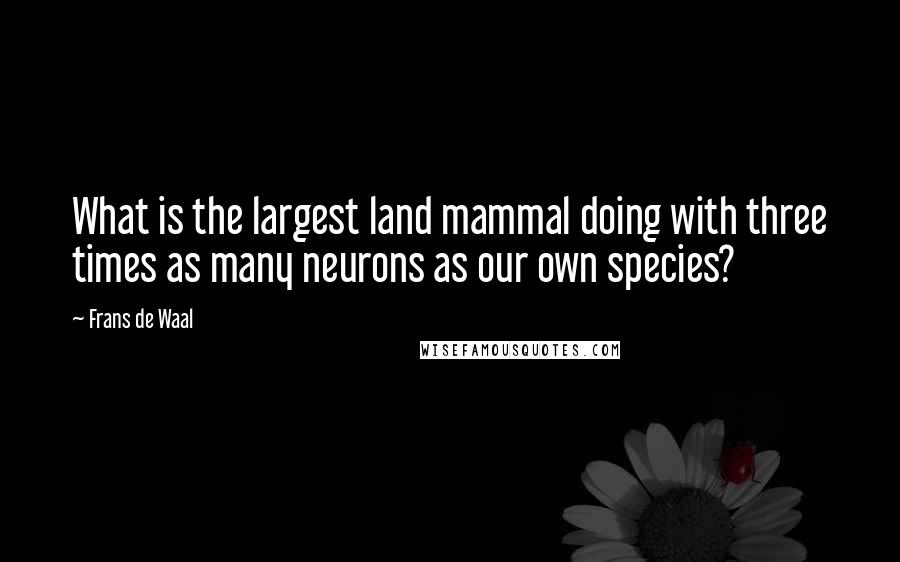 Frans De Waal Quotes: What is the largest land mammal doing with three times as many neurons as our own species?