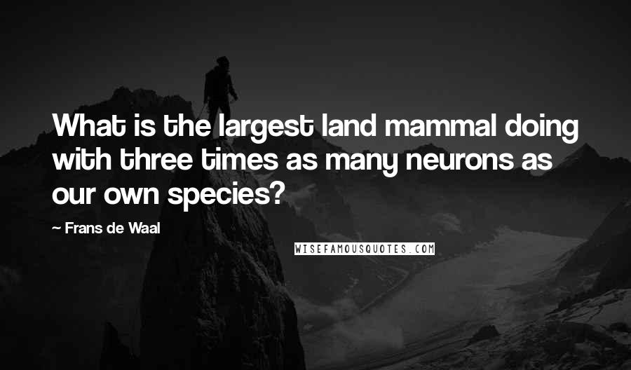 Frans De Waal Quotes: What is the largest land mammal doing with three times as many neurons as our own species?