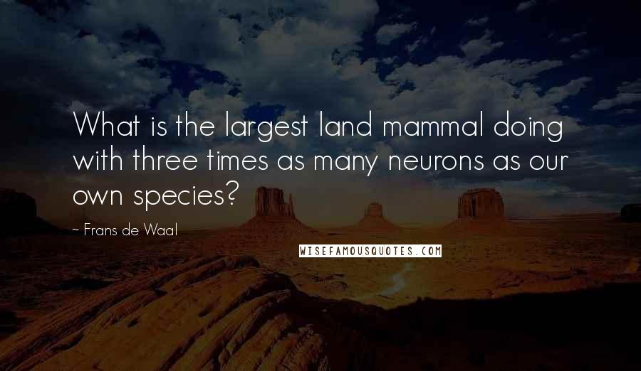 Frans De Waal Quotes: What is the largest land mammal doing with three times as many neurons as our own species?