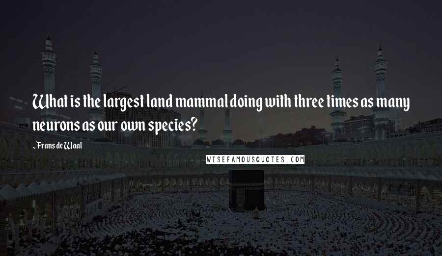 Frans De Waal Quotes: What is the largest land mammal doing with three times as many neurons as our own species?
