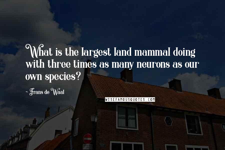 Frans De Waal Quotes: What is the largest land mammal doing with three times as many neurons as our own species?