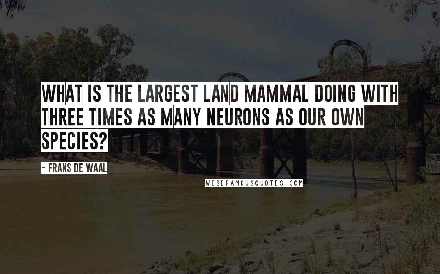 Frans De Waal Quotes: What is the largest land mammal doing with three times as many neurons as our own species?