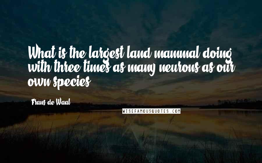 Frans De Waal Quotes: What is the largest land mammal doing with three times as many neurons as our own species?