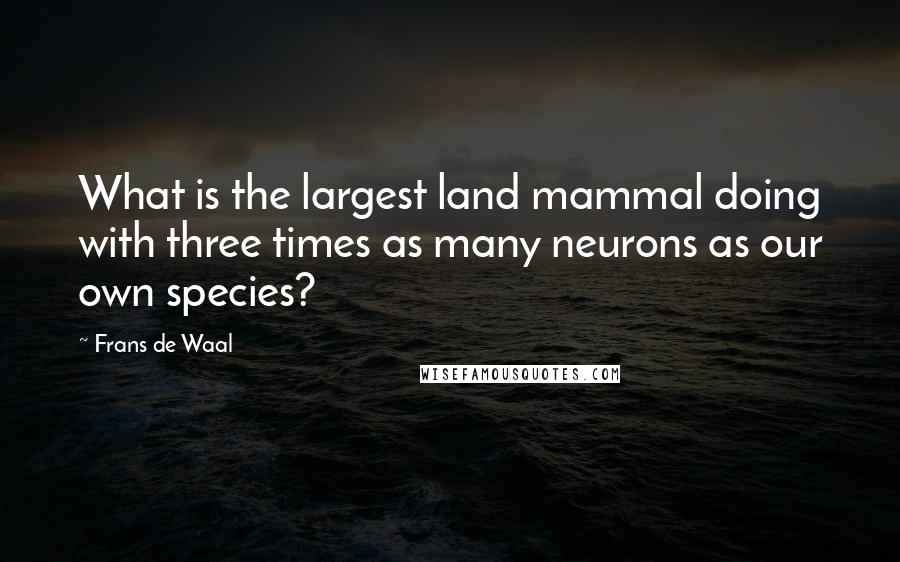 Frans De Waal Quotes: What is the largest land mammal doing with three times as many neurons as our own species?