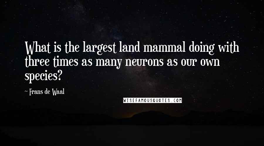 Frans De Waal Quotes: What is the largest land mammal doing with three times as many neurons as our own species?