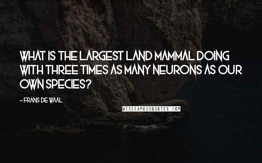 Frans De Waal Quotes: What is the largest land mammal doing with three times as many neurons as our own species?