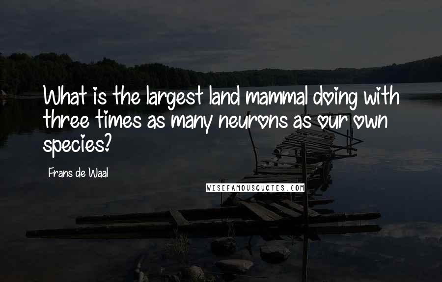 Frans De Waal Quotes: What is the largest land mammal doing with three times as many neurons as our own species?