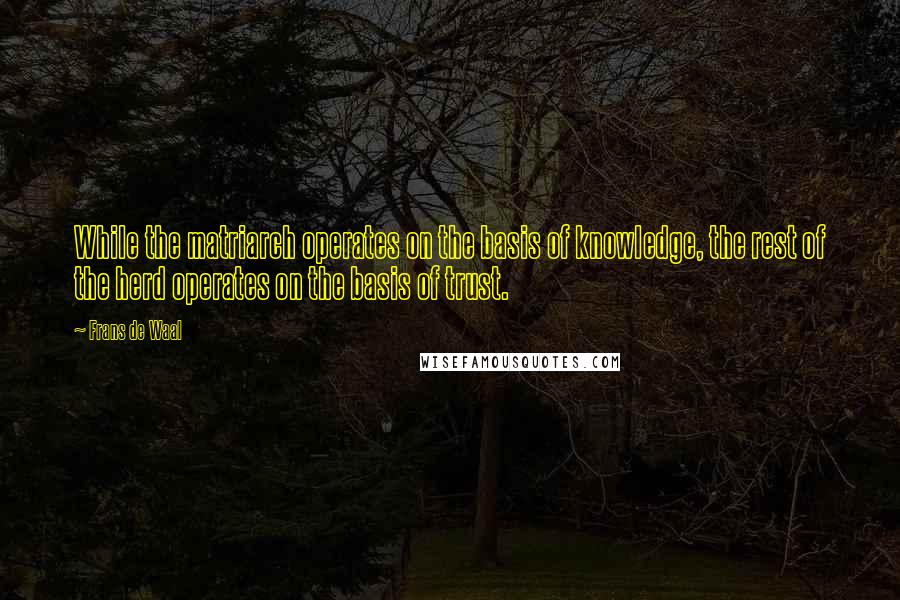 Frans De Waal Quotes: While the matriarch operates on the basis of knowledge, the rest of the herd operates on the basis of trust.