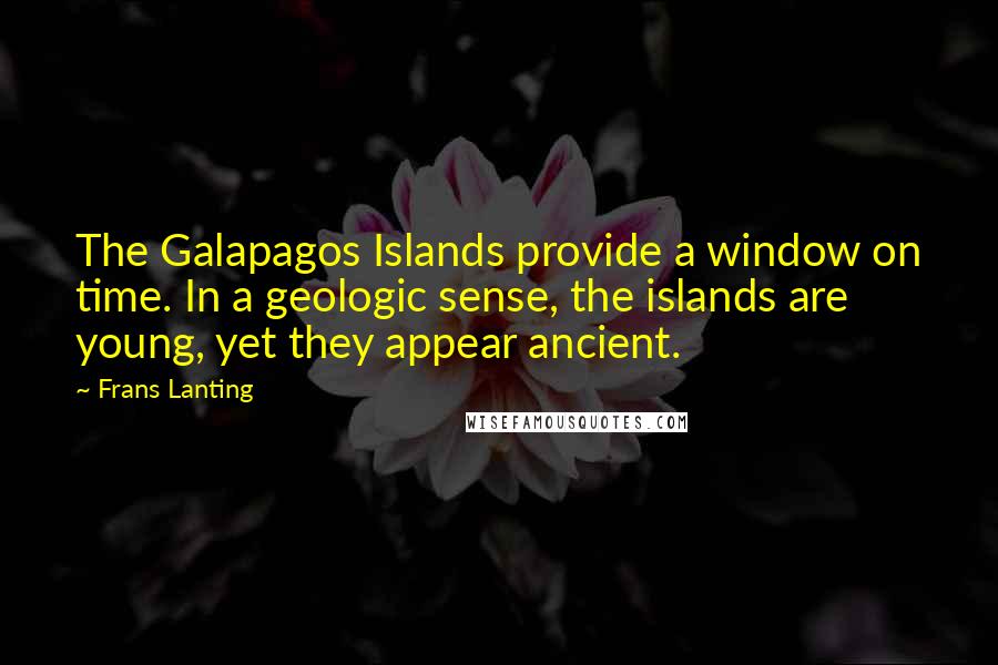 Frans Lanting Quotes: The Galapagos Islands provide a window on time. In a geologic sense, the islands are young, yet they appear ancient.