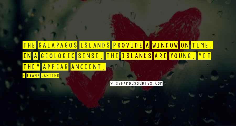 Frans Lanting Quotes: The Galapagos Islands provide a window on time. In a geologic sense, the islands are young, yet they appear ancient.