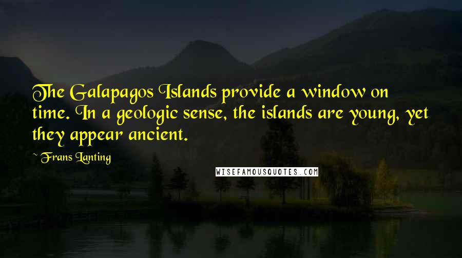 Frans Lanting Quotes: The Galapagos Islands provide a window on time. In a geologic sense, the islands are young, yet they appear ancient.