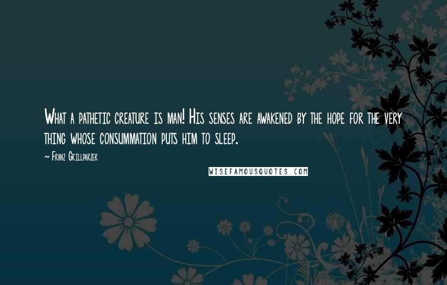 Franz Grillparzer Quotes: What a pathetic creature is man! His senses are awakened by the hope for the very thing whose consummation puts him to sleep.