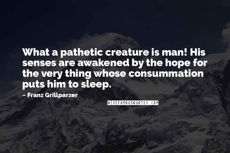 Franz Grillparzer Quotes: What a pathetic creature is man! His senses are awakened by the hope for the very thing whose consummation puts him to sleep.