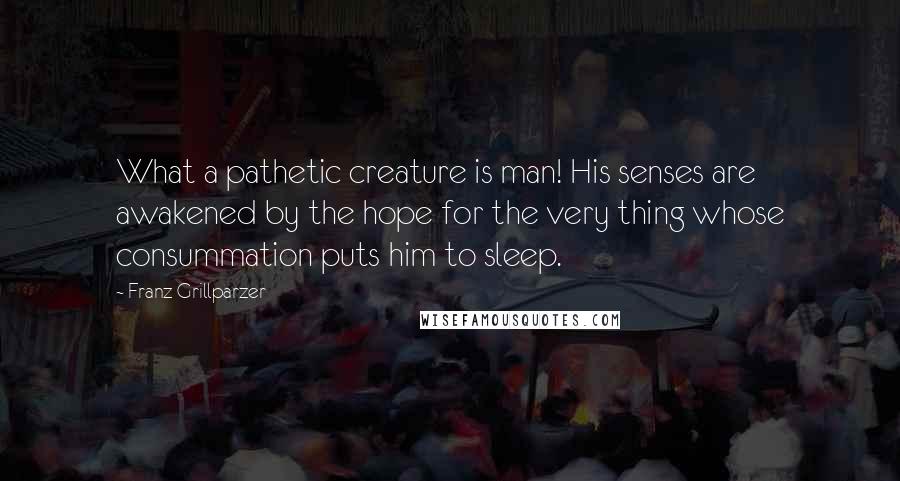 Franz Grillparzer Quotes: What a pathetic creature is man! His senses are awakened by the hope for the very thing whose consummation puts him to sleep.