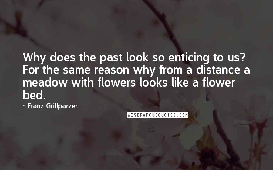 Franz Grillparzer Quotes: Why does the past look so enticing to us? For the same reason why from a distance a meadow with flowers looks like a flower bed.