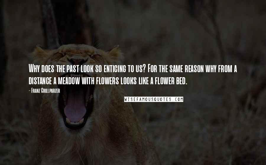 Franz Grillparzer Quotes: Why does the past look so enticing to us? For the same reason why from a distance a meadow with flowers looks like a flower bed.