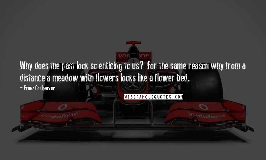 Franz Grillparzer Quotes: Why does the past look so enticing to us? For the same reason why from a distance a meadow with flowers looks like a flower bed.