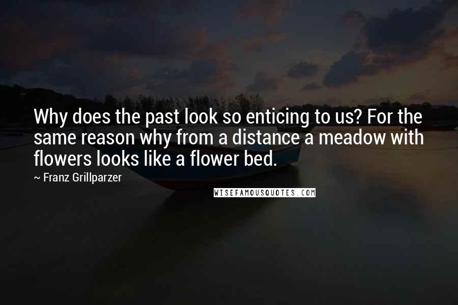 Franz Grillparzer Quotes: Why does the past look so enticing to us? For the same reason why from a distance a meadow with flowers looks like a flower bed.