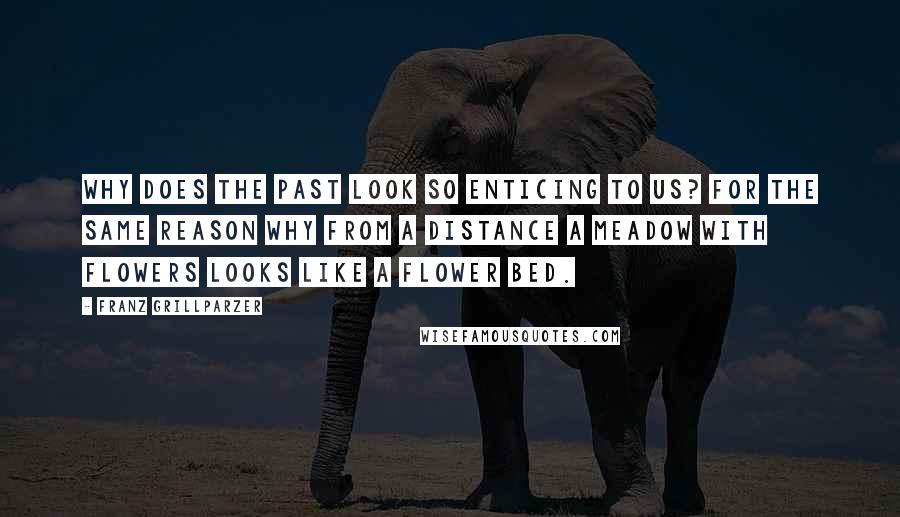 Franz Grillparzer Quotes: Why does the past look so enticing to us? For the same reason why from a distance a meadow with flowers looks like a flower bed.