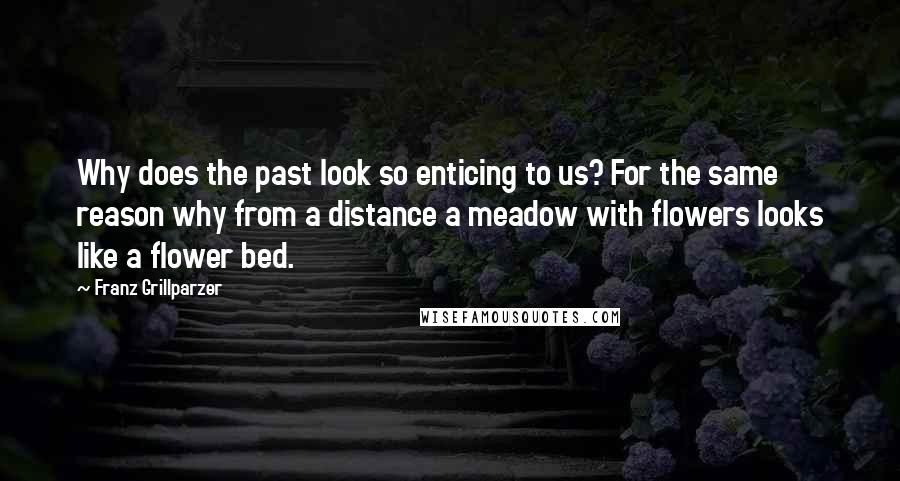 Franz Grillparzer Quotes: Why does the past look so enticing to us? For the same reason why from a distance a meadow with flowers looks like a flower bed.